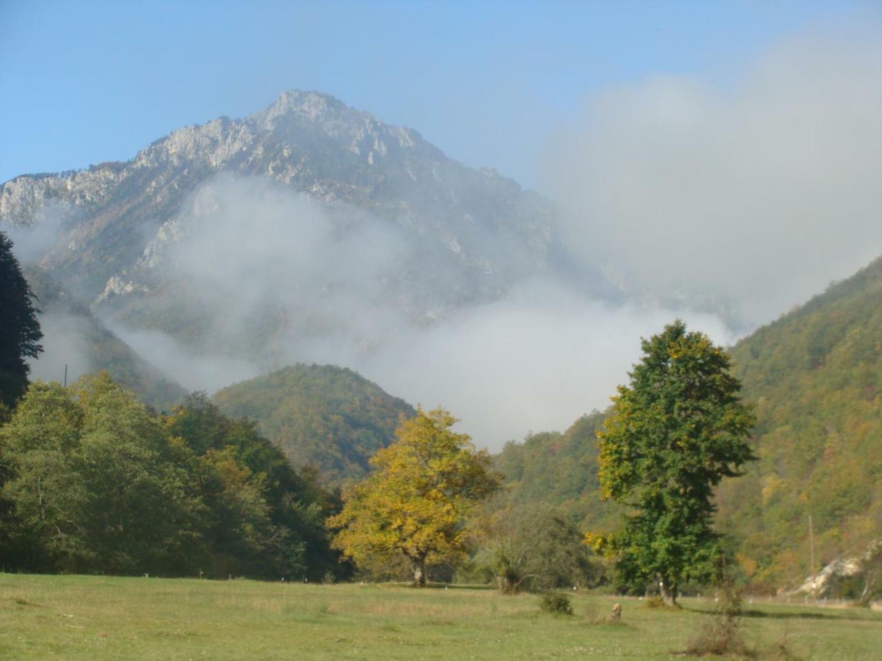 Taramour Cottages. Mojkovac Kültér fotó