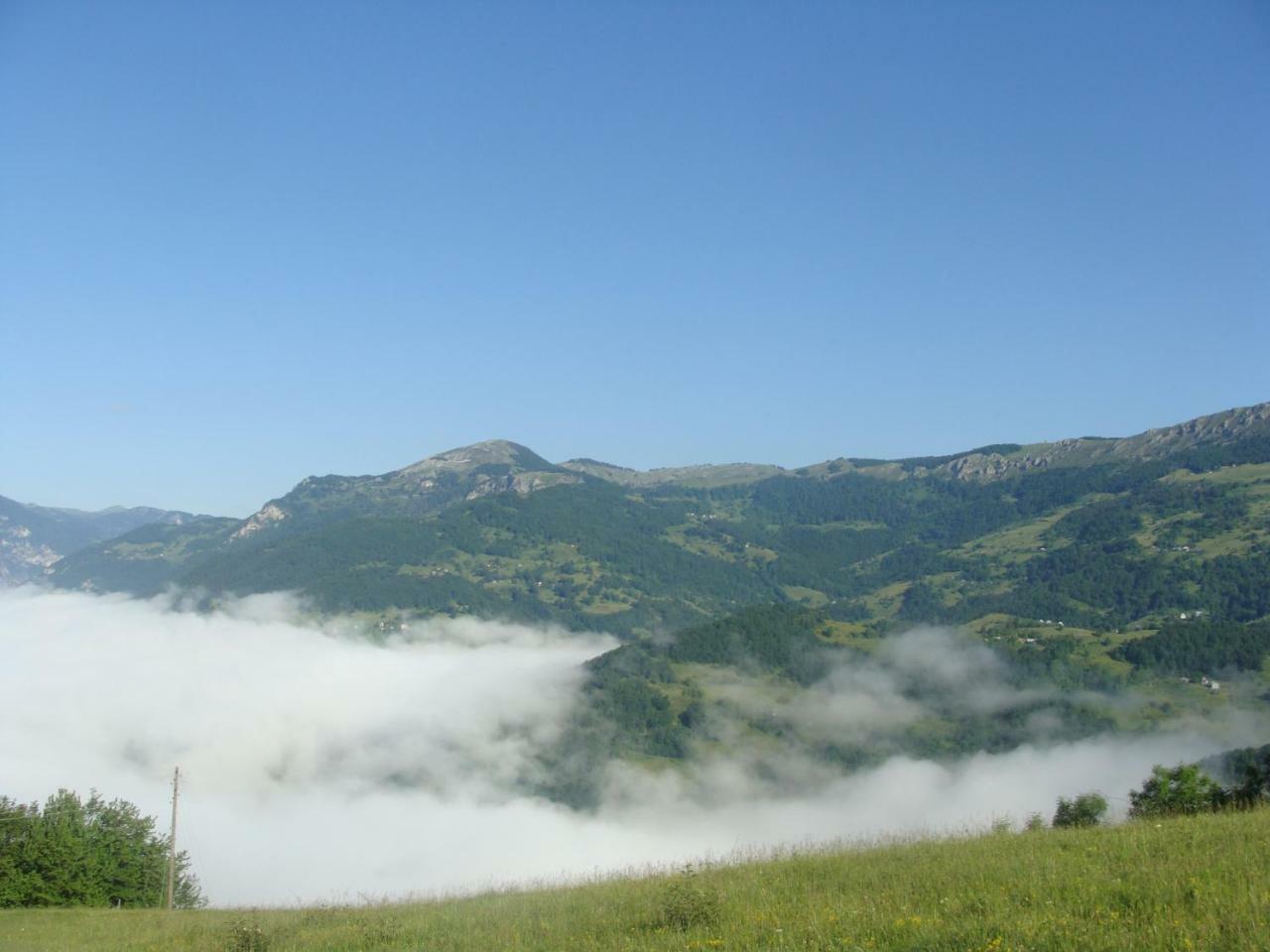Taramour Cottages. Mojkovac Kültér fotó