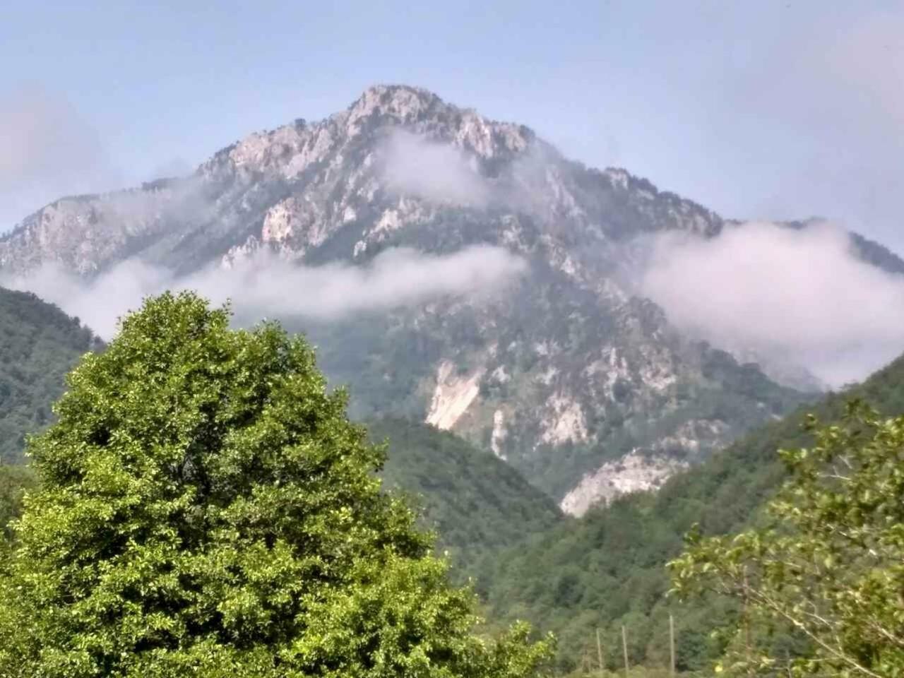 Taramour Cottages. Mojkovac Kültér fotó