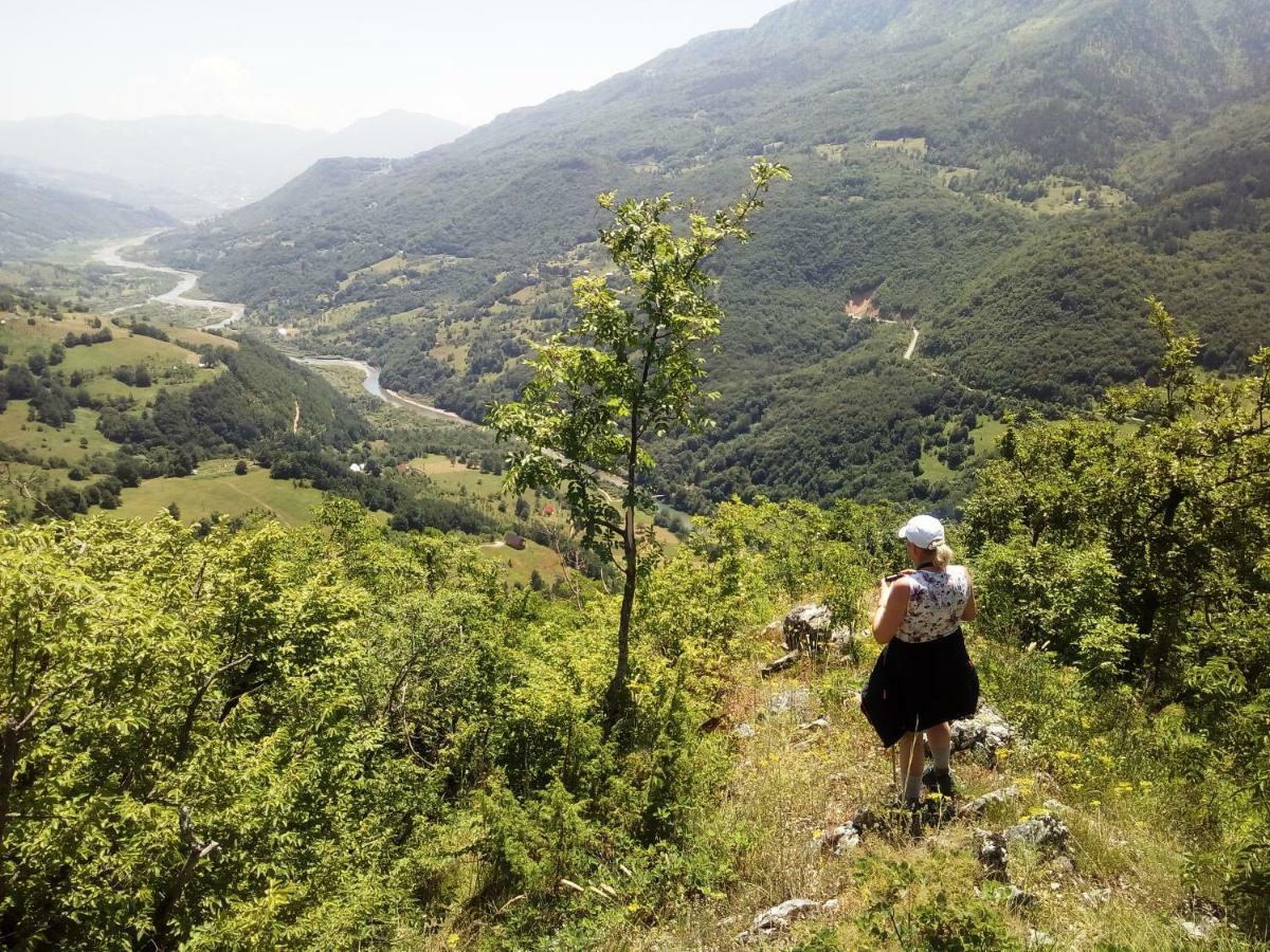 Taramour Cottages. Mojkovac Kültér fotó